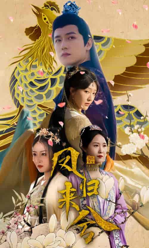 凤归来兮（100集） - 海之城短剧