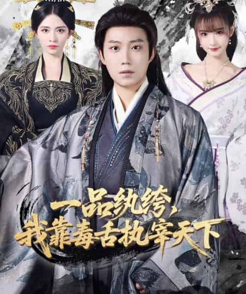 一品纨绔，我靠毒舌执宰天下（65集全）侯泽霖＆赵毓杰-海之城短剧项目