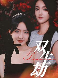 双生劫（68集） - 海之城短剧