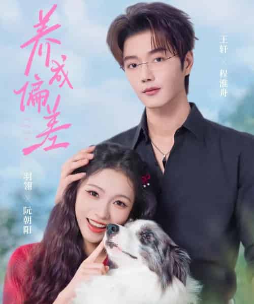 养成偏差（70集全）王轩＆羽翎-海之城短剧项目