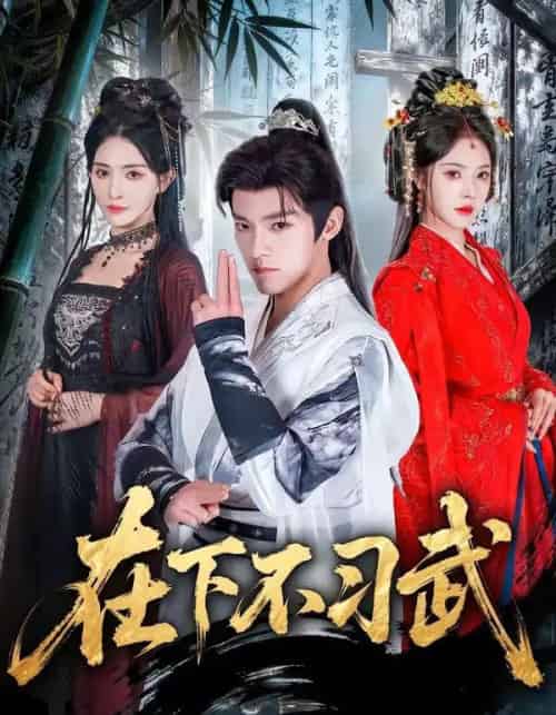 在下不习武（60集全）王珞嘉＆苏西-海之城短剧项目