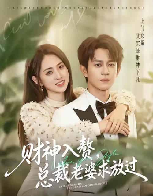 财神入赘，总裁老婆求放过（60集全）董劭辉＆李晓雨-海之城短剧项目