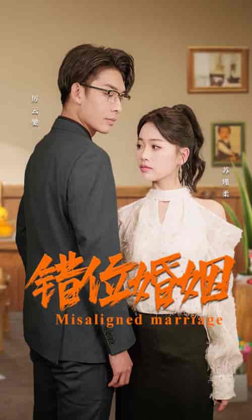 错位婚姻（50集） - 海之城短剧