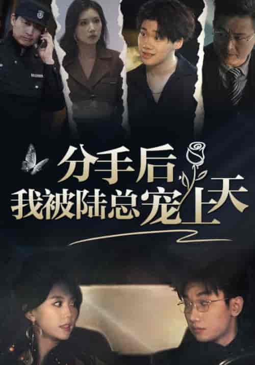 分手后，我被陆总宠上天（76集）马乐婕 - 海之城短剧