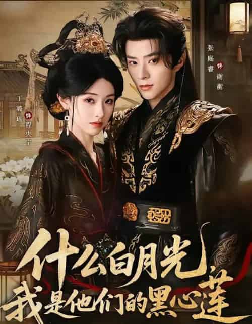 什么白月光，我是他们的黑心莲（79集全）张庭睿＆丁璐瑶-海之城短剧项目