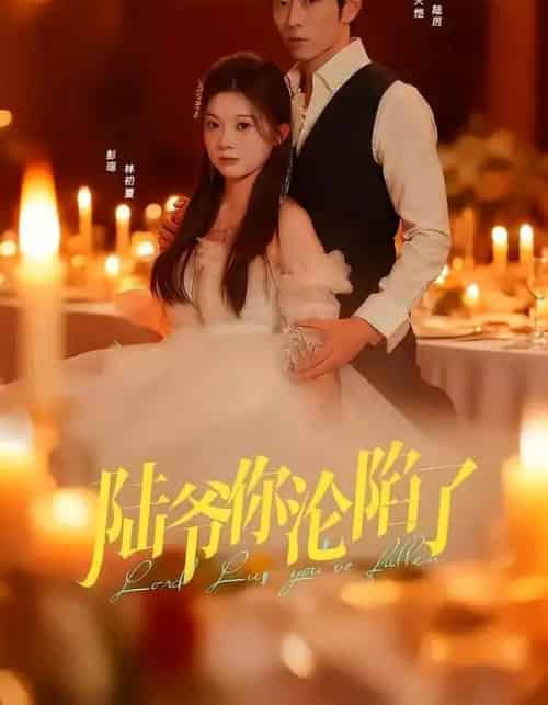 陆爷你沦陷了（78集全）曹天恺＆彭瑶-海之城短剧项目