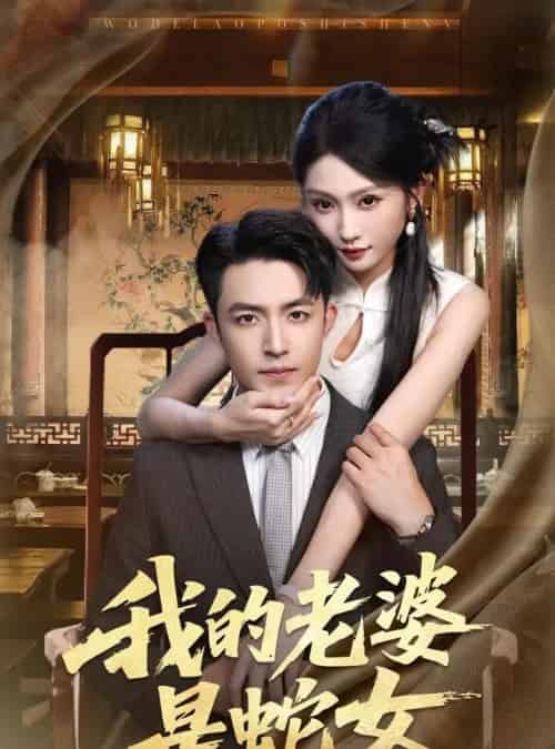 我的老婆是蛇女（52集）刘月涛＆宋佳音＆林十八 - 海之城短剧