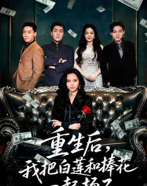 重生后我把白莲和手捧花一起扬了＆保姆女儿想用9.9换走我的千万捧花（47集全）刘洋＆李苗苗-海之城短剧项目