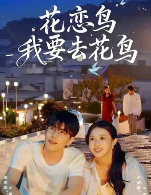 花恋鸟我要去花鸟（60集全）安奕明＆王翊嘉-海之城短剧项目