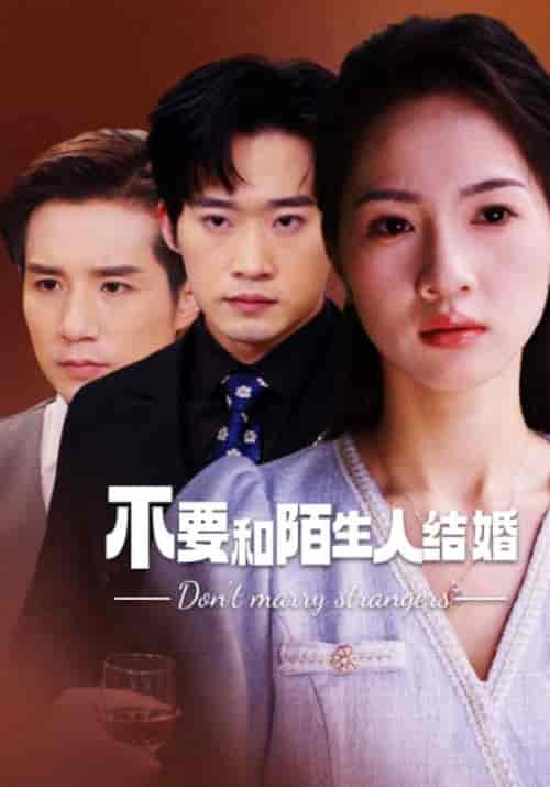 不要和陌生人结婚（90集） - 海之城短剧