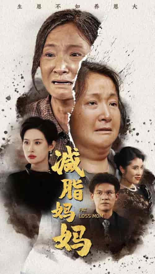 减脂妈妈（71集） - 海之城短剧
