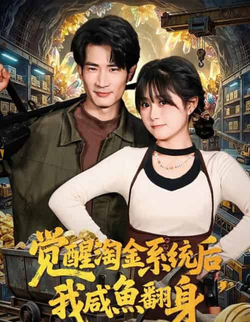 觉醒淘金系统后，我咸鱼翻身（70集全）何俊雄＆何宇涵-海之城短剧项目
