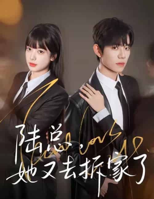 陆总，她又去拆家了（80集全）白贯羽＆吴飞雪-海之城短剧项目