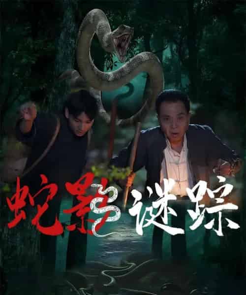 蛇影谜踪（53集）王云凤＆吴广林 - 海之城短剧