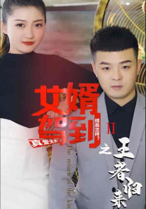 女婿驾到之王者归来（40集全）李佳越＆杨琦 - 海之城短剧