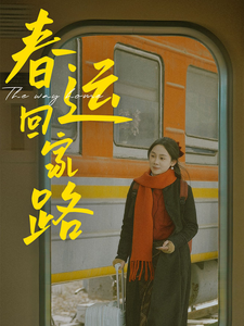 春运回家路（32集） - 海之城短剧