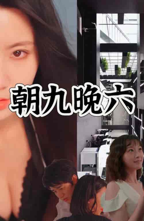 朝九晚六（67集） - 海之城短剧