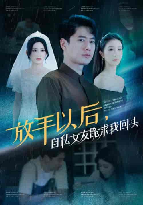 放手以后，自私女友跪求我回头（59集全）陈凡＆王琳 - 海之城短剧