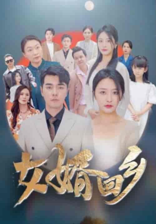 女婿回乡（120集） - 海之城短剧