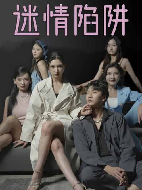 迷情陷阱（38集全） - 海之城短剧