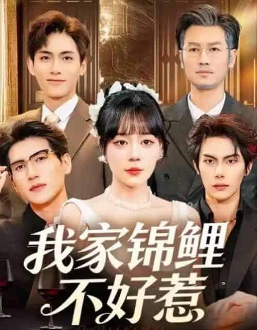 我家锦鲤不好惹（75集全）孙蔚琳＆马义炎-海之城短剧项目