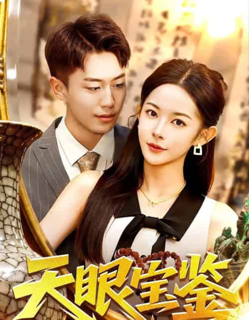 天眼宝鉴（108集全）杨林涛＆赵书苑-海之城短剧项目