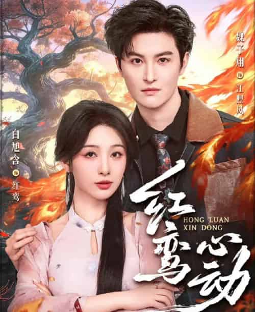 红鸾心动（60集全）魏子翔＆白旭含-海之城短剧项目