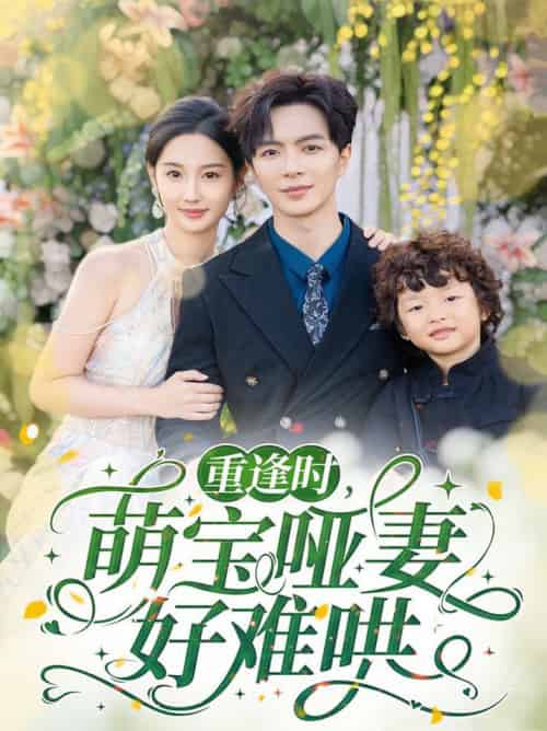 重逢时萌宝哑妻好难哄（60集全）温宇＆魏凡舒 - 海之城短剧