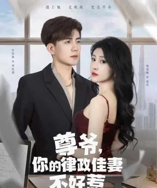 尊爷，你的律政佳妻不好惹（81集）杜培源＆喻嘉琳-海之城短剧项目