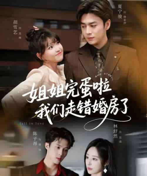 姐姐完蛋啦我们走错婚房了（97集全）夏宁骏＆胡雪艺-海之城短剧项目