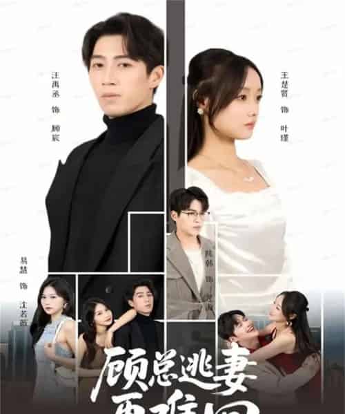 顾总逃妻再难回（60集全）汪禹丞＆王楚贤＆易慧-海之城短剧项目