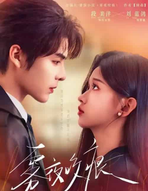 雾夜咬痕（74集全）段美洋＆刘蓝鸽-海之城短剧项目