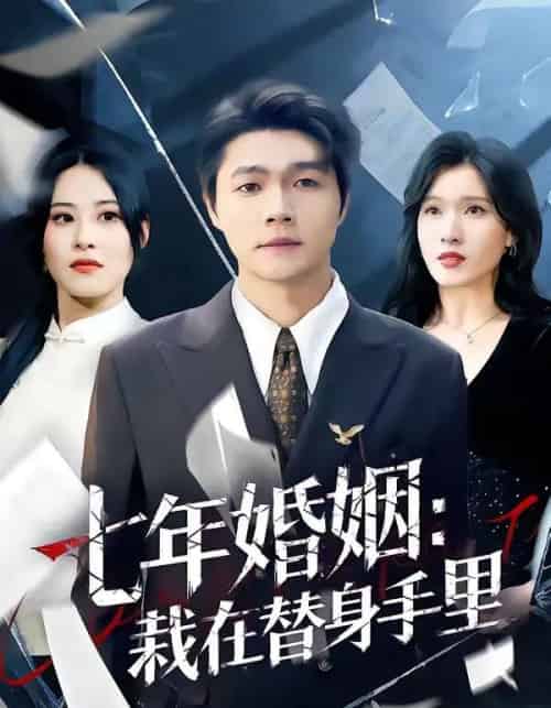 七年婚姻：栽在替身手里（80集全）叶子龙＆张清妍-海之城短剧项目