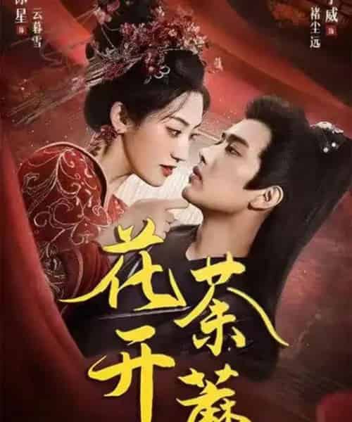 花开荼蘼（88集全）王宇威＆王冰星-海之城短剧项目