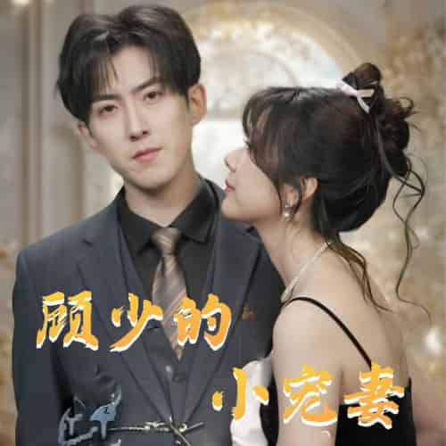 顾少的小宠妻（90集全）赵阿东＆钱思怡 - 海之城短剧