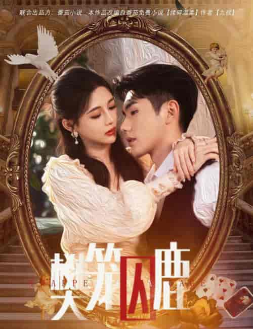 樊笼囚鹿＆偏执大佬的金丝雀（60集全） - 海之城短剧