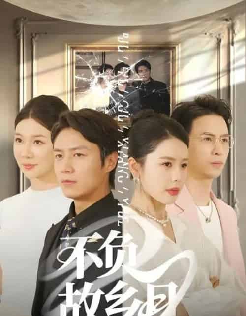 不负故乡月（70集）丁海霞＆赵苑君＆韩旭 - 海之城短剧
