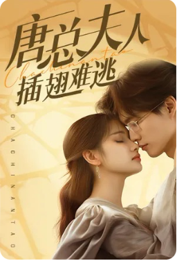 唐总夫人不好惹 唐总夫人不好惹
