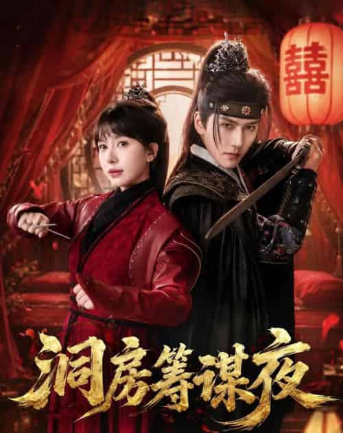 洞房筹谋夜（50集全）袁在峤＆蒋开鑫-海之城短剧项目