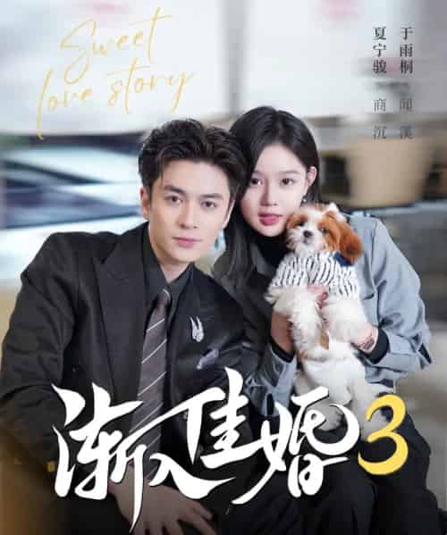 渐入佳婚3（60集全）夏宁骏＆于雨桐-海之城短剧项目