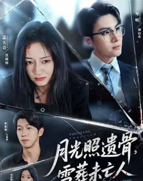 月光照遗骨雪葬未亡人 （57集） 孟天音-海之城短剧项目