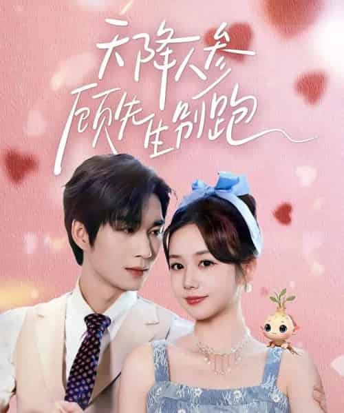 天降人参顾先生别跑（60集全）余弦＆雷馥缦-海之城短剧项目