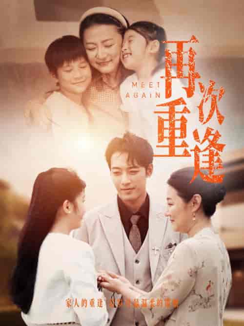 再次重逢（70集） - 海之城短剧
