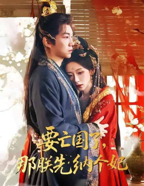 要亡国了那朕先纳个妃（70集全）江佳瞳＆胡曦＆侯泽霖-海之城短剧项目