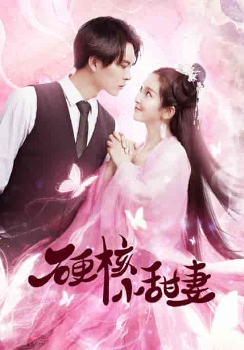 硬核小甜妻（18集全）叶辰＆蝶澈 - 海之城短剧