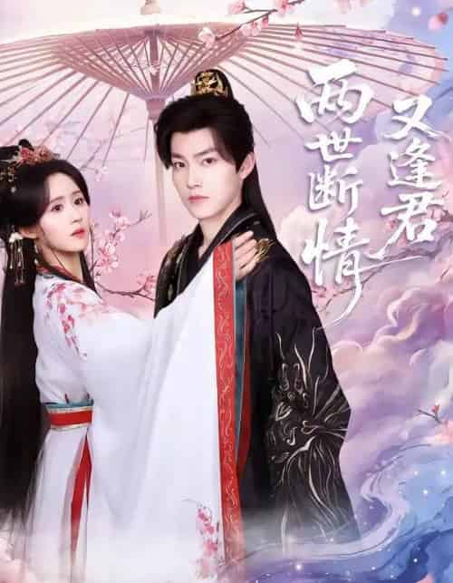 两世断情又逢君（71集全）周凌丰＆书雪漫-海之城短剧项目