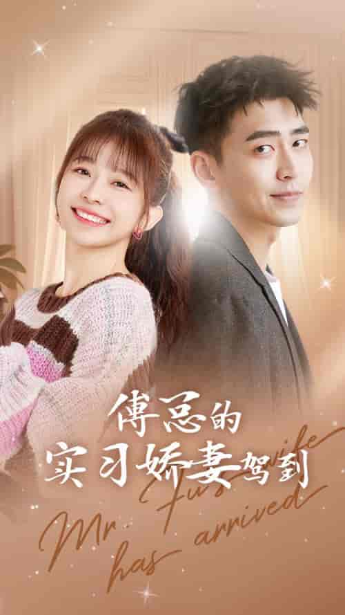 傅总的实习娇妻驾到 傅总的实习娇妻驾到