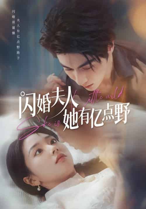 闪婚夫人她有亿点野（60集全）王子林＆张紫菡 - 海之城短剧