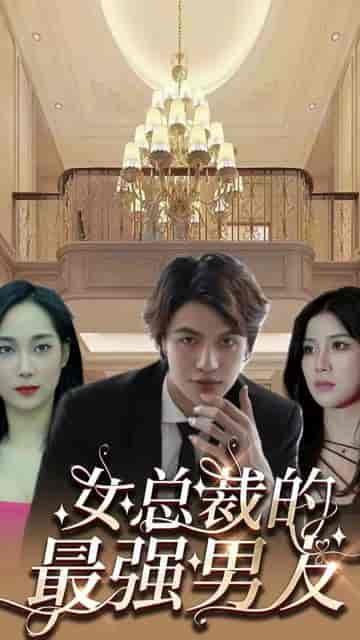 风雪满江红＆女总裁的上门女婿（104集） - 海之城短剧