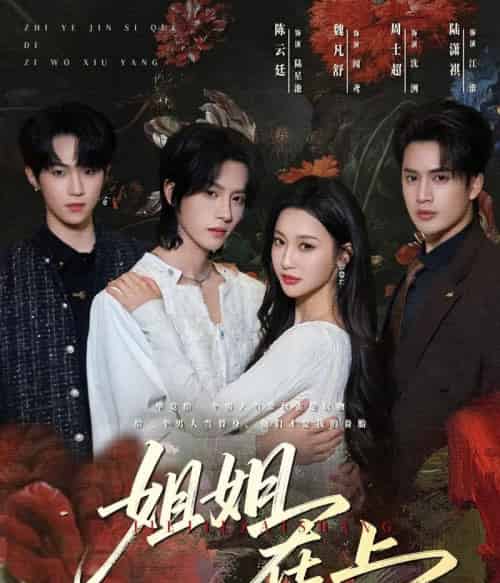 姐姐在上（65集全）陈云廷＆魏凡舒-海之城短剧项目